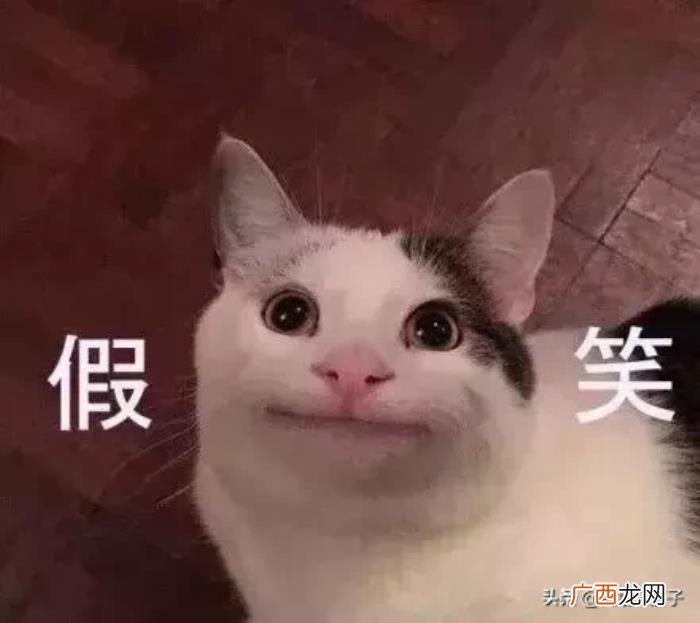郑爽刘诗诗,郑爽、刘诗诗、张靓颖……她们都是恋爱脑