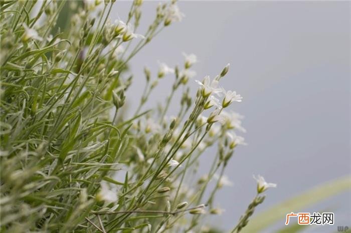 很现实的人生感悟短语 很现实的人生感悟说说