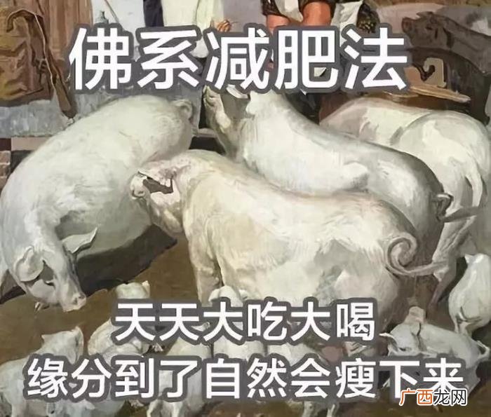 这套减肥图要笑死我了 减肥图片搞笑