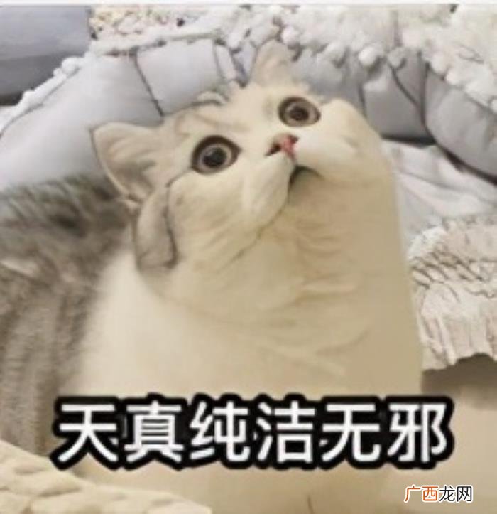 李佳琦金靖，李佳琦和金靖都这么明显了还不官宣