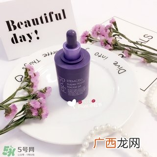 rodial干细胞精华油多少钱?rodial干细胞精华油专柜价格