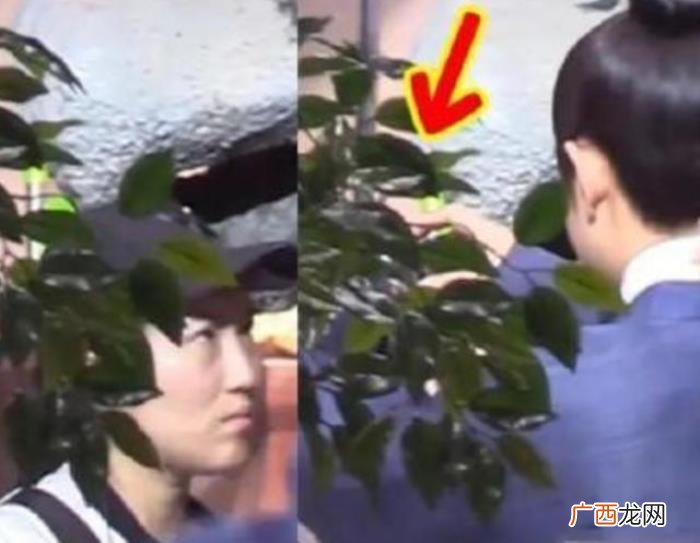 罗晋谈感情，罗晋一句话回击流言力证与唐嫣感情稳定