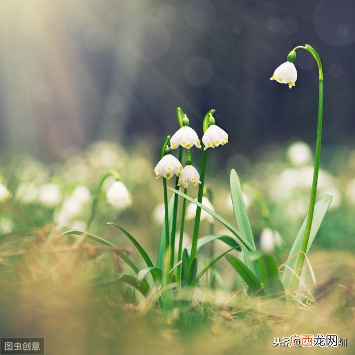 任何困难都会迎刃而解。 困难会过去的句子励志