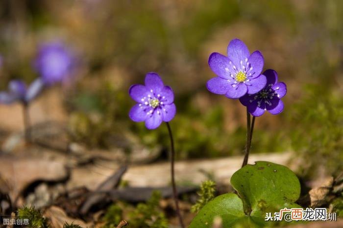 任何困难都会迎刃而解。 困难会过去的句子励志