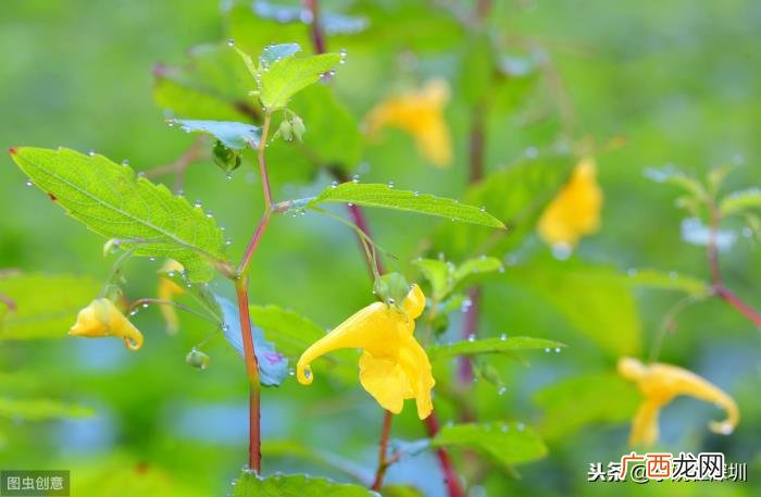 任何困难都会迎刃而解。 困难会过去的句子励志
