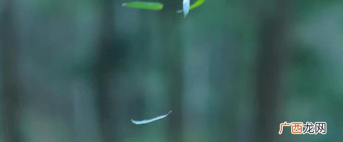 惊艳的古风句子和诗 晒三口之家唯美的句子