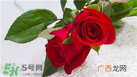 玫瑰花泡水可以敷脸吗?泡过的玫瑰花敷脸好吗?