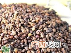 吃葡萄籽可以美白吗?葡萄籽真的能美白吗?
