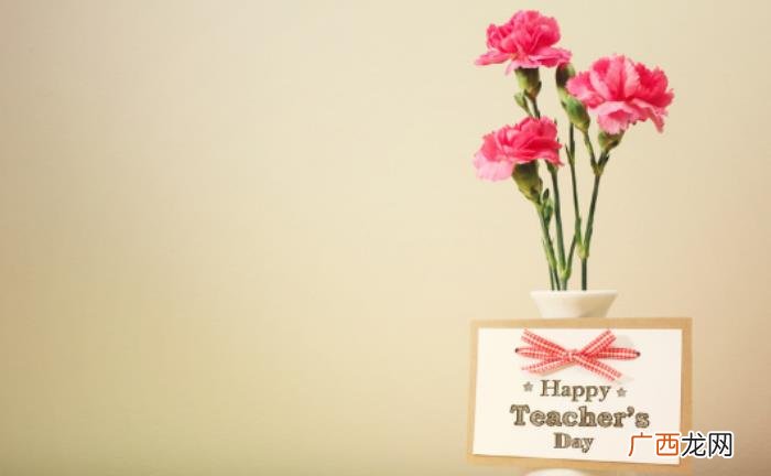 赞美歌颂老师的句子 赞扬老师的话