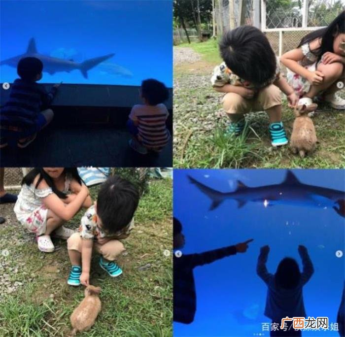 陈妍希婚变，陈妍希陈晓被传婚变怎么回事事件始末