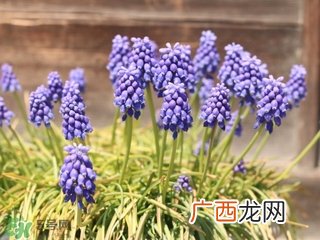 温和好用的洁面乳排行榜 温和的洁面产品推荐