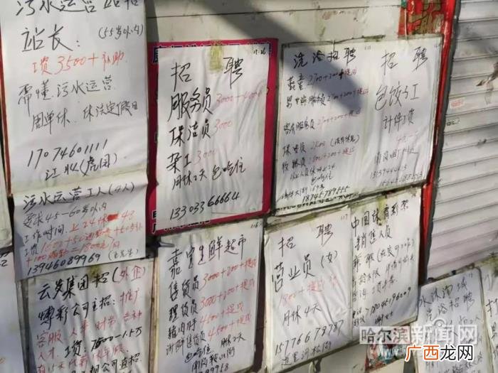 饭店服务员，饭店招服务员底薪4500元还住别墅丨冰雪旺季到来