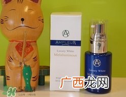 ampleur是什么牌子_哪个国家的_什么档次
