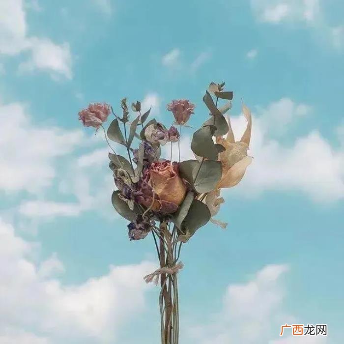 说感情句子让男人愧疚 让男人瞬间就后悔的句子