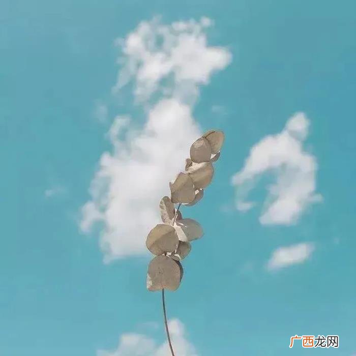 说感情句子让男人愧疚 让男人瞬间就后悔的句子