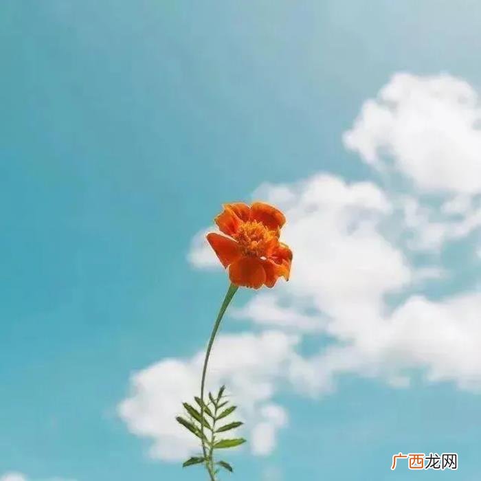说感情句子让男人愧疚 让男人瞬间就后悔的句子
