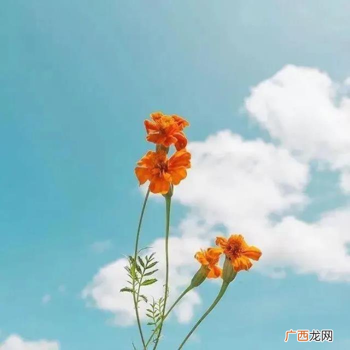 说感情句子让男人愧疚 让男人瞬间就后悔的句子