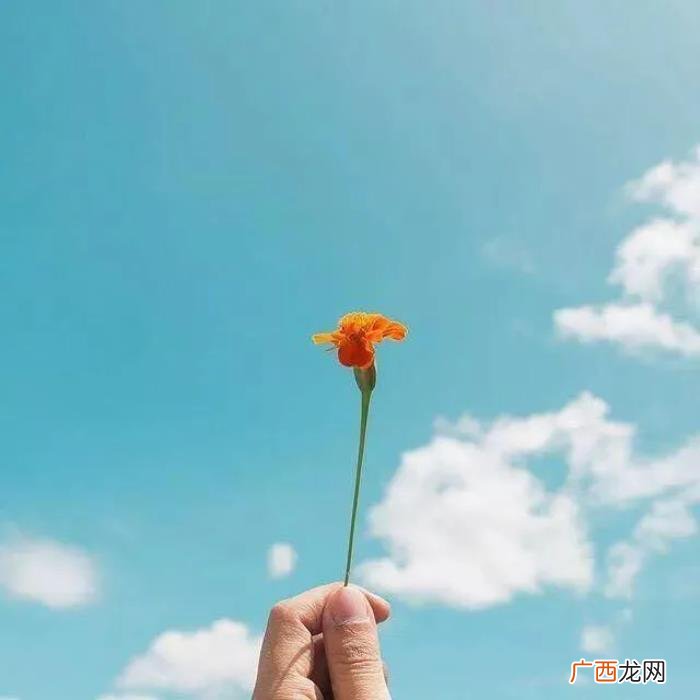 说感情句子让男人愧疚 让男人瞬间就后悔的句子