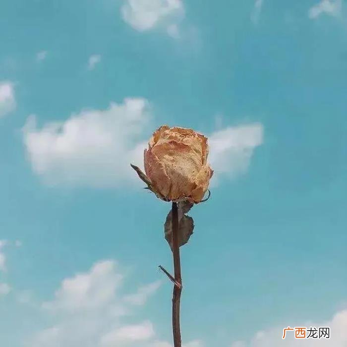 说感情句子让男人愧疚 让男人瞬间就后悔的句子