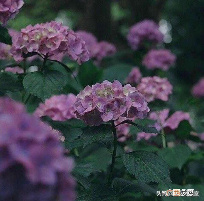 让对方看了愧疚难安的5个句子 一段让对方愧疚的话