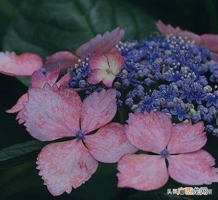 让对方看了愧疚难安的5个句子 一段让对方愧疚的话