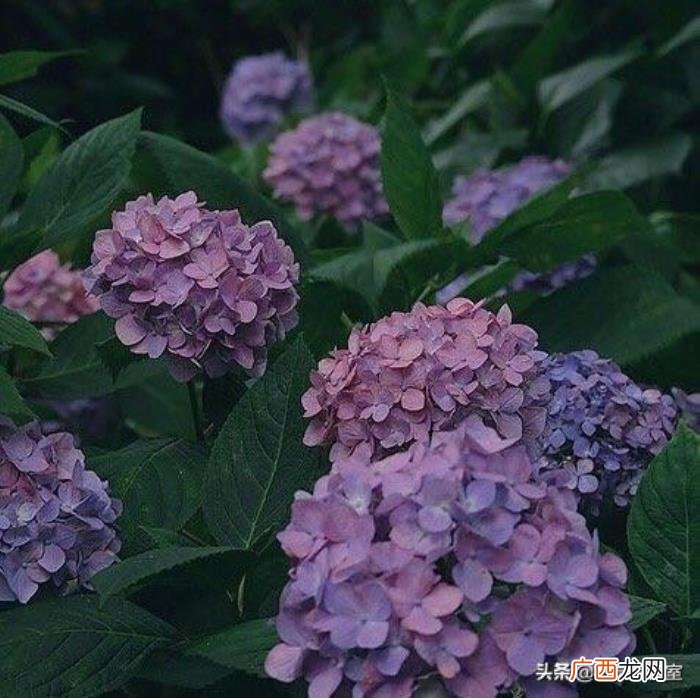 让对方看了愧疚难安的5个句子 一段让对方愧疚的话