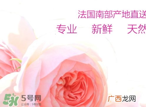 rossi rossa面膜怎么样？rossi rossa珞珞庄园面膜好不好？