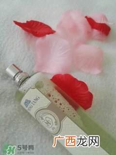 露茗堂是什么化妆品？露茗堂是哪个国家的什么档次？