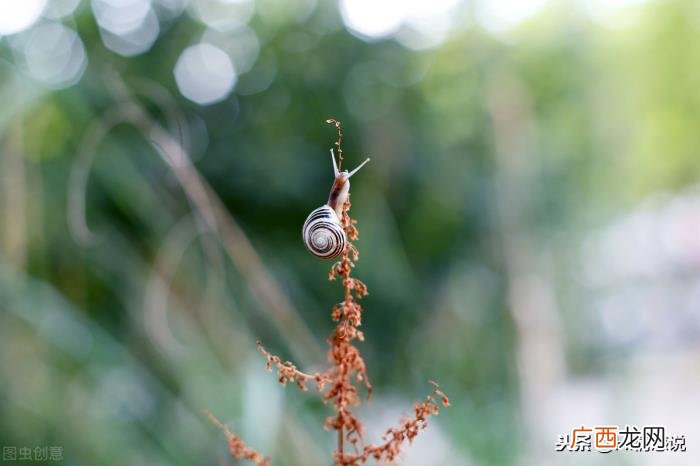 永远都在雨过天晴后 雨后天晴的句子心情