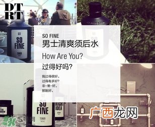 DTRT杜比丽夫是哪个国家的？杜比丽夫什么档次