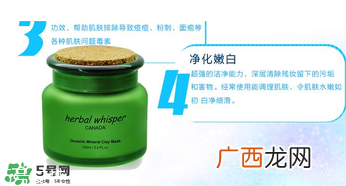 荟诗冰川泥面膜怎么样？荟诗冰川泥面膜好用吗？