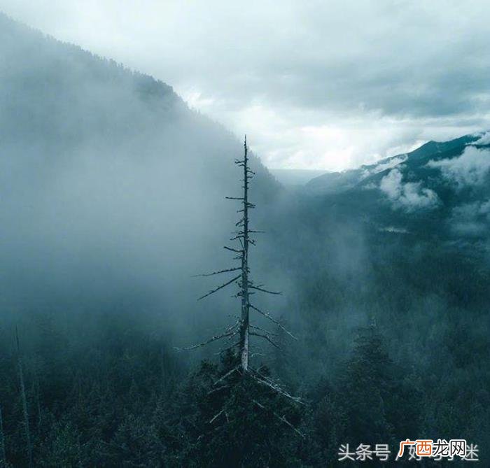 人生感悟经典哲理名言 做人道理名言警句