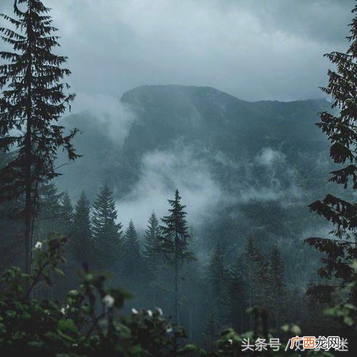 人生感悟经典哲理名言 做人道理名言警句