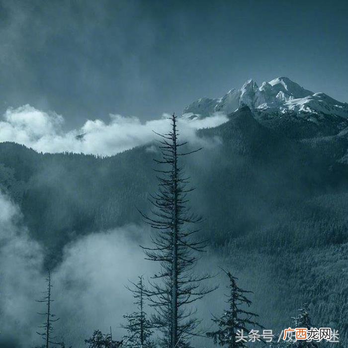 人生感悟经典哲理名言 做人道理名言警句