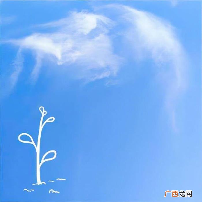 一月很赞的心情说说 喝多了的说说心情短语