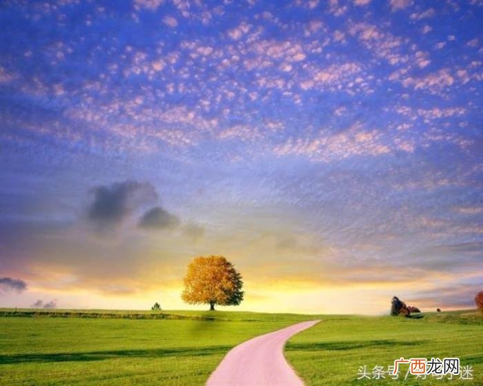 20条早安经典唯美的句子 关于早晨的唯美句子