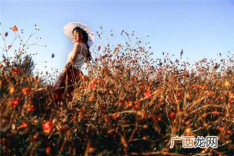 网恋可靠吗？已加莫辜负