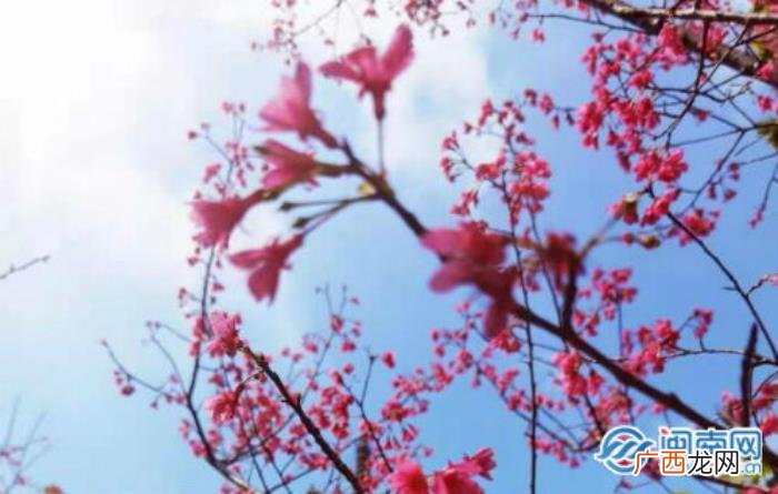 脱单了怎么发朋友圈 公开恋情的朋友圈