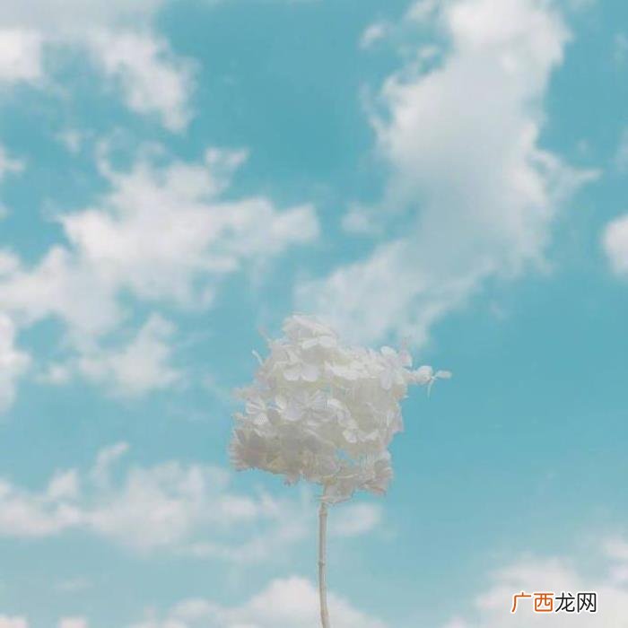 心向阳光的正能量句子 心若向阳的励志的句子