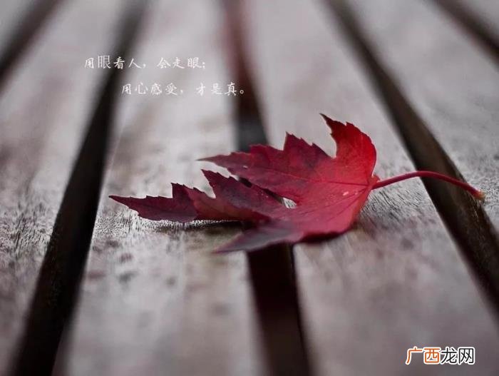 钱能看清一个人的语录 用钱看清一个人的句子