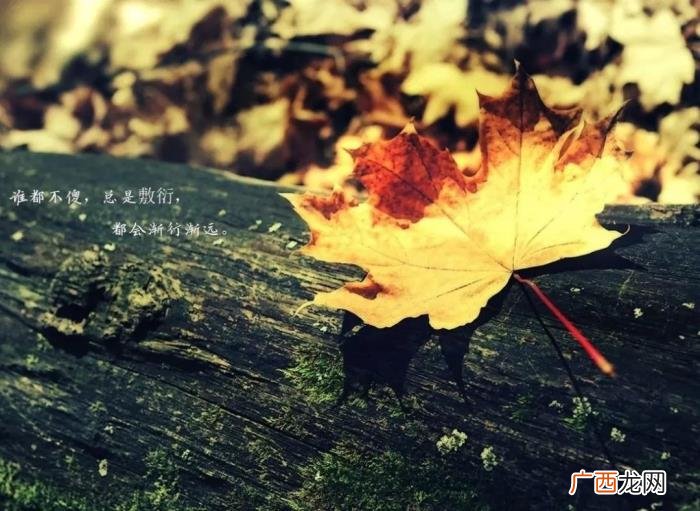 钱能看清一个人的语录 用钱看清一个人的句子