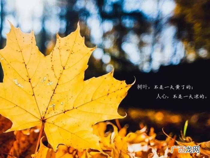 钱能看清一个人的语录 用钱看清一个人的句子