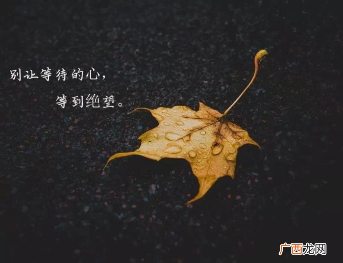 钱能看清一个人的语录 用钱看清一个人的句子