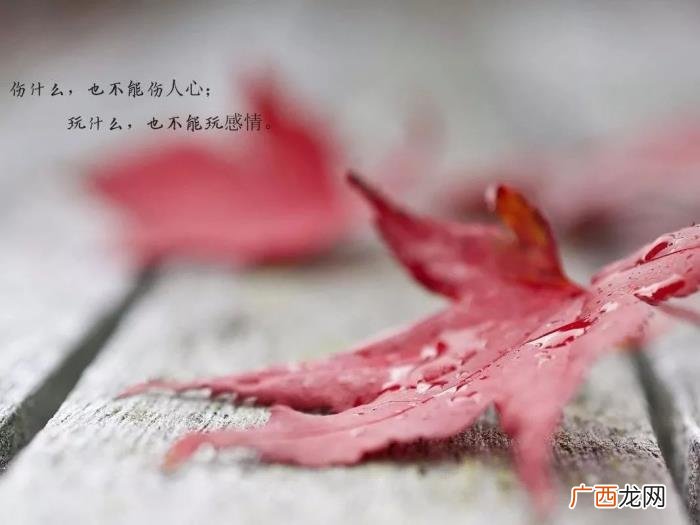 钱能看清一个人的语录 用钱看清一个人的句子