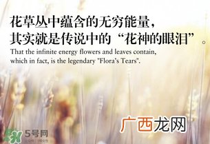 fiori segreti花草的秘密什么牌子_什么档次