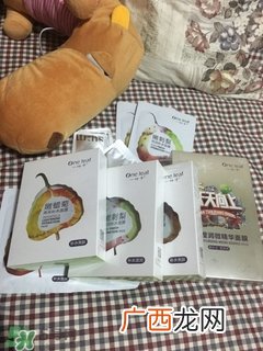 一叶子适合什么皮肤?一叶子适合油性肌肤吗?