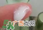 一叶子和百雀羚哪个好？一叶子和百雀羚面膜对比