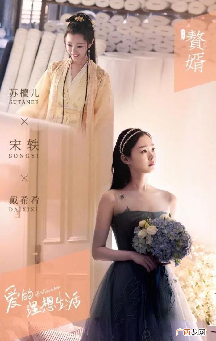 宋轶结婚狂，宋轶演结婚狂因好嫁风被女性网友讨伐