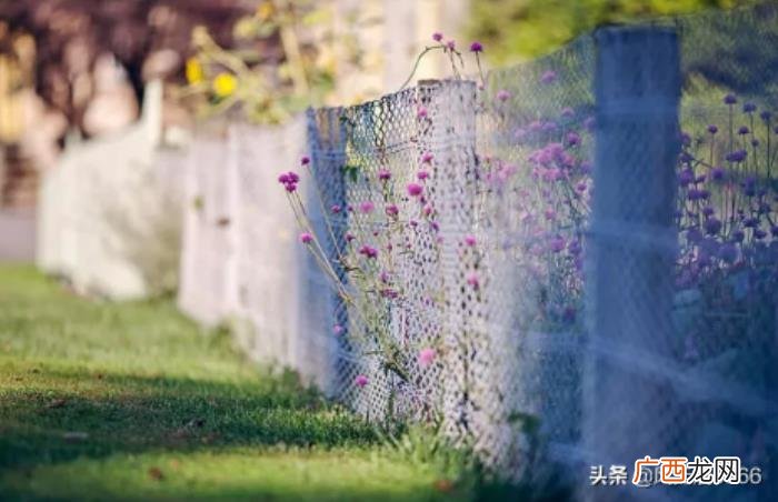 形容无法诉说的委屈的句子 一个人委屈到哭的句子