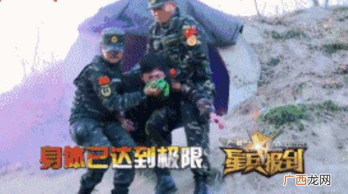 杨洋和金晨,害金晨近乎命丧马场、杨洋留下后遗症